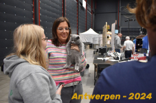 Antwerpen 196