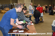 Schow Antwerpen 2023 051