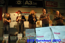 BCF turn 167