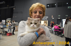 Antwerpen 182