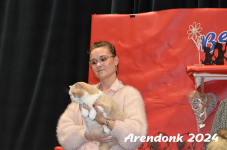 Arendonk 2024 375