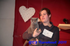 bcf antw 2010 238