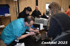 Laakdal 2023 082