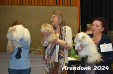 Arendonk 2024 529