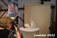 Laakdal 2023 368
