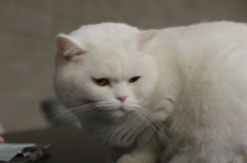 img 2362