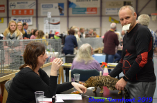 turnhout 2019-0352