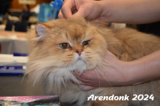 Arendonk 2024 054