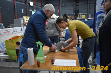 Antwerpen 111