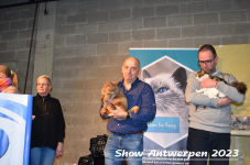 Schow Antwerpen 2023 347