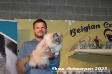 Schow Antwerpen 2023 353