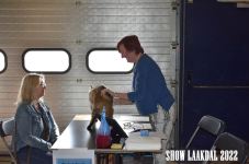 Show Laakdal 2022 0153