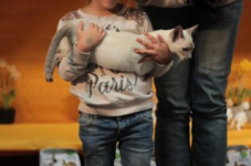 turnhout20150293