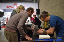 Antwerpen 2019DSC 0039