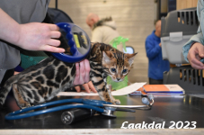 Laakdal 2023 101