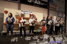  bcf ant 201143