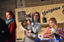 Antwerpen 2019DSC 0319