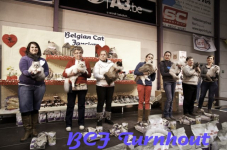  bcf ant 201131