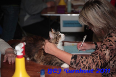 bcf antw 2010 170