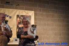 Antwerpen 2019DSC 0226