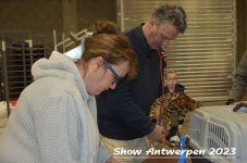 Schow Antwerpen 2023 032