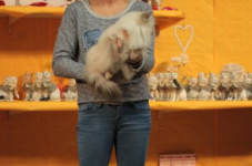 turnhout20150249