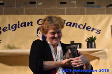 Antwerpen 2019DSC 0409