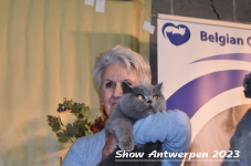 Schow Antwerpen 2023 421