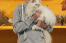 img 2371