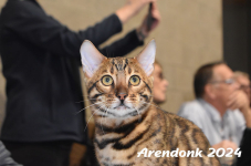 Arendonk 2024 325