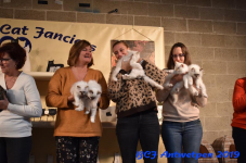 Antwerpen 2019DSC 0266
