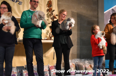 Antwerp 2022297