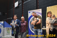 Antwerpen 267