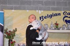 Schow Antwerpen 2023 207