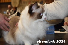Arendonk 2024 064