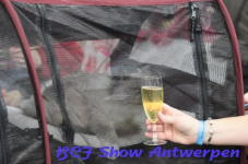antwerpen 2012 151