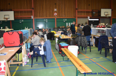 Katttenshow Arendonk 2020 DSC 0170