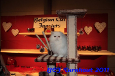 bcf antw 2010 288