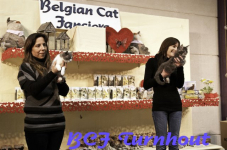 bcf ant 201136