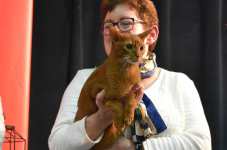 Katttenshow Arendonk 2020 DSC 0621