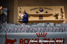 Antwerp 2022222
