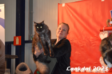 Laakdal 2023 289