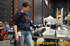 Antwerpen 219