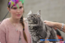 antw 2015 205