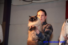 bcf antw 2010 222