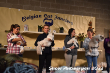 Antwerp 2022171