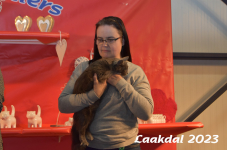 Laakdal 2023 291