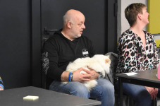 Katttenshow Arendonk 2020 DSC 0517
