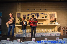 Antwerpen 2019DSC 0269