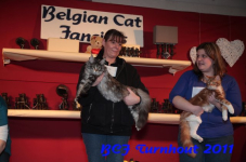 bcf antw 2010 212
